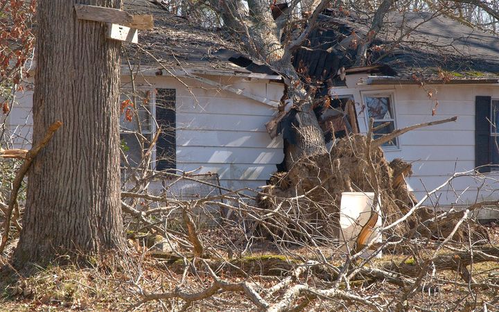 Tree trunk resting against a white house whose roof was crushed by the fall
