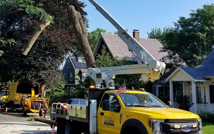 Bucket truck lifting a worker into a street tree beside a house, with traffic cones on the road